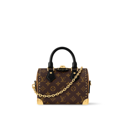 Speedy Trunk 20 Monogram