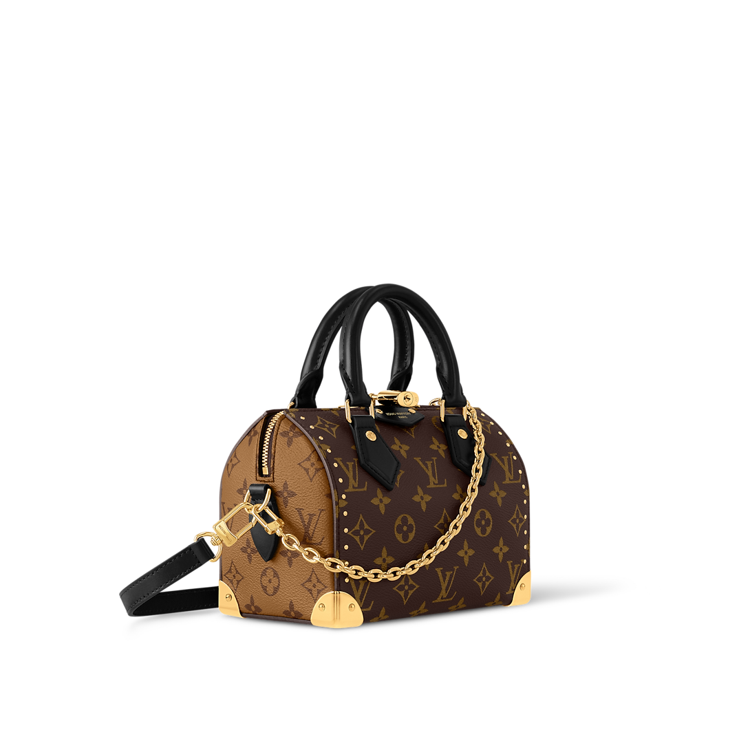 Speedy Trunk 20 Monogram