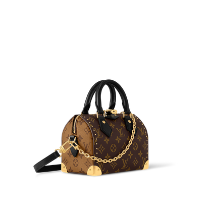 Speedy Trunk 20 Monogram