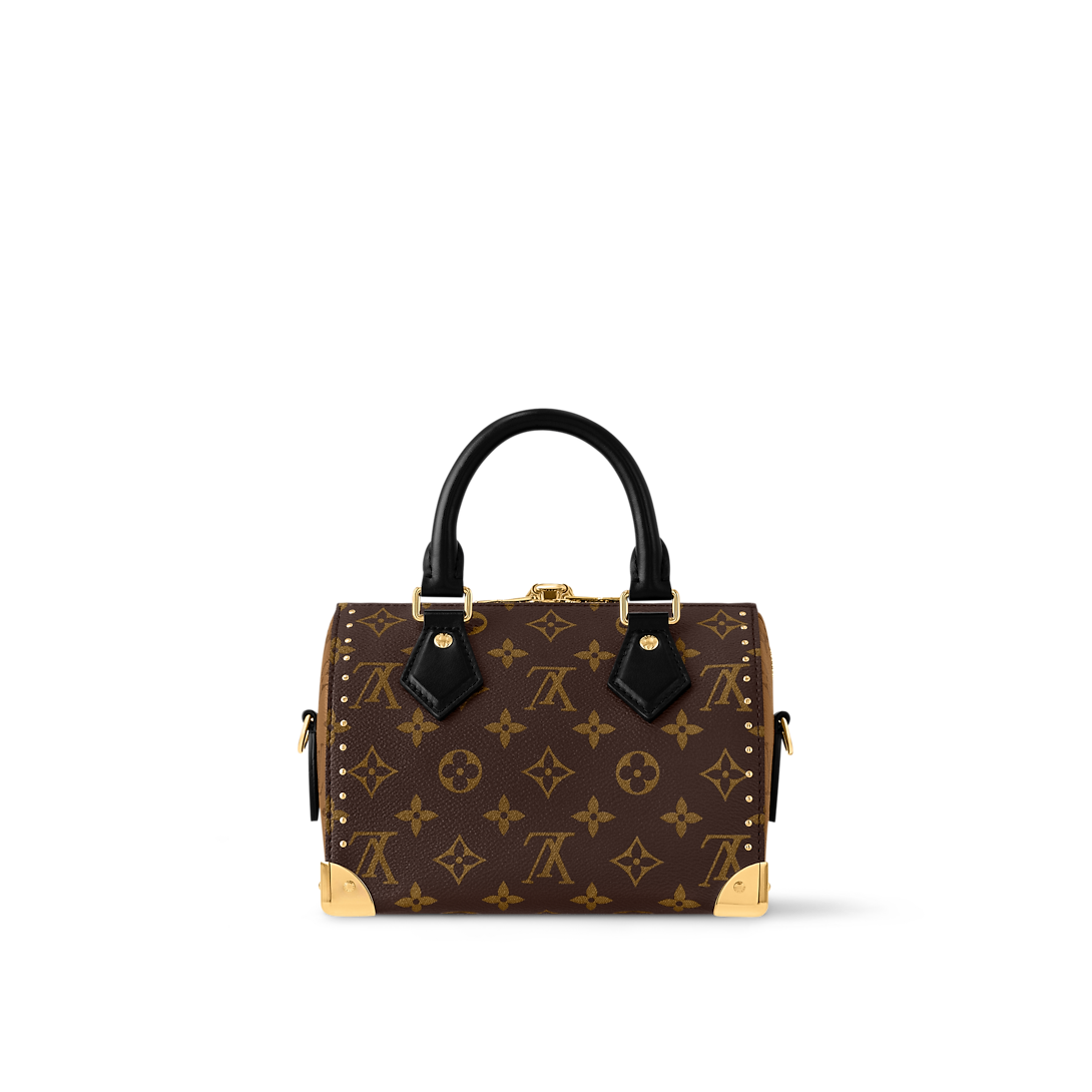 Speedy Trunk 20 Monogram